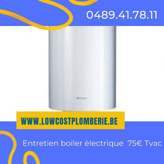 Entretien boiler, chauffe-eau électrique vaillant locataire 1000 bruxelles prix pas cher.