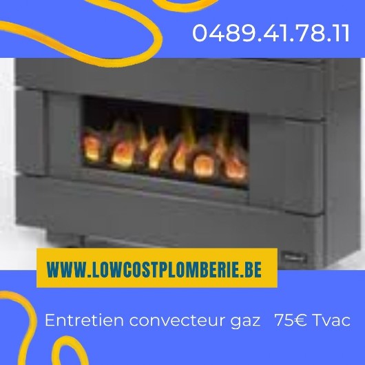 Magasin entretien obligatoire convecteur gaz de ville, remplacer par radiateur 1000 bruxelles prix pas cher.